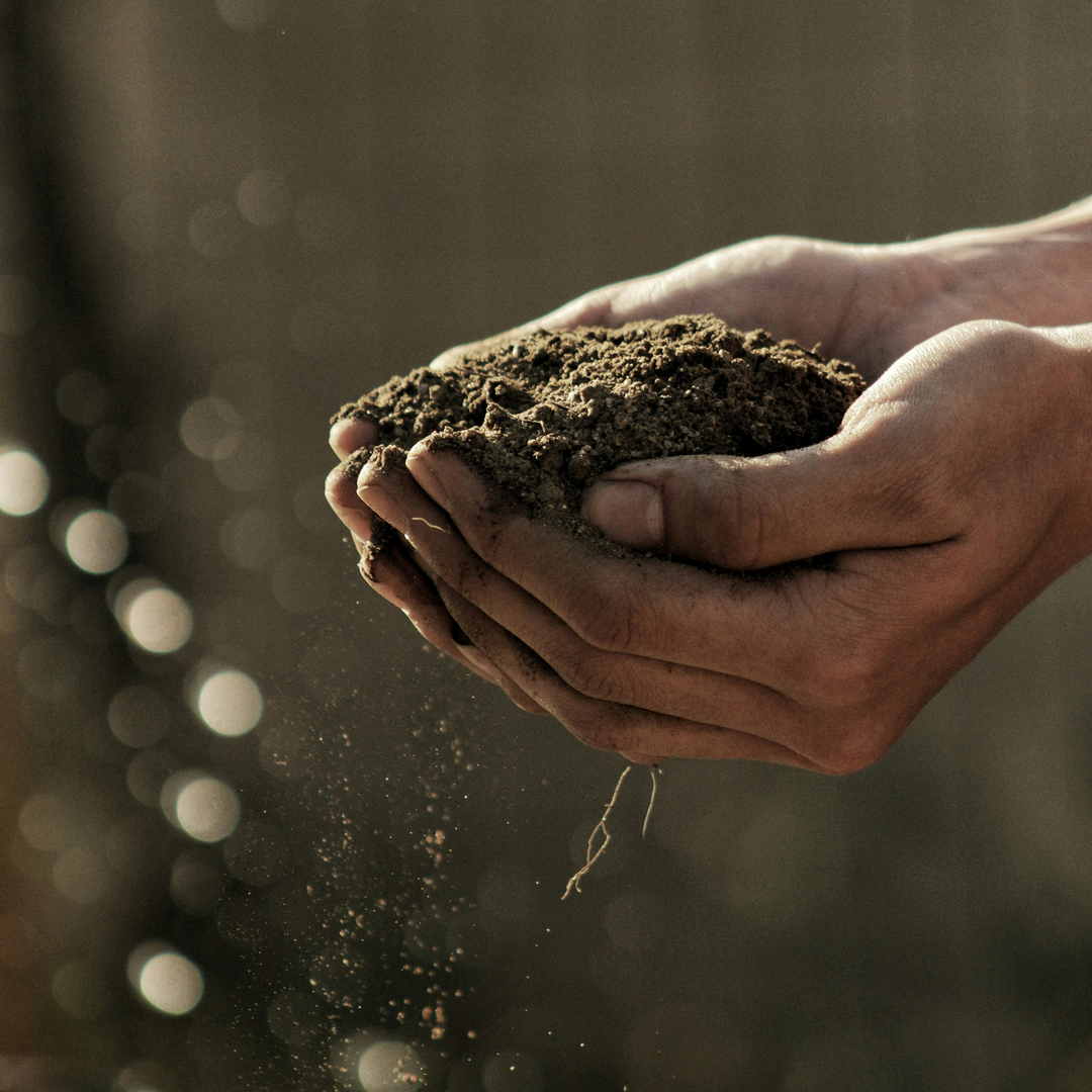 Unlocking the Secrets of Your Garden: The Essential Guide to Soil Testing