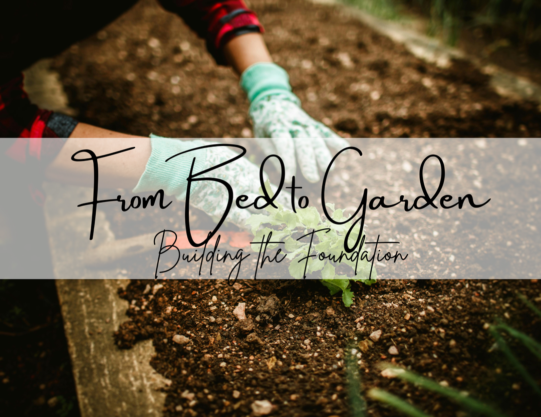 From Bed to Garden: Building the Foundation