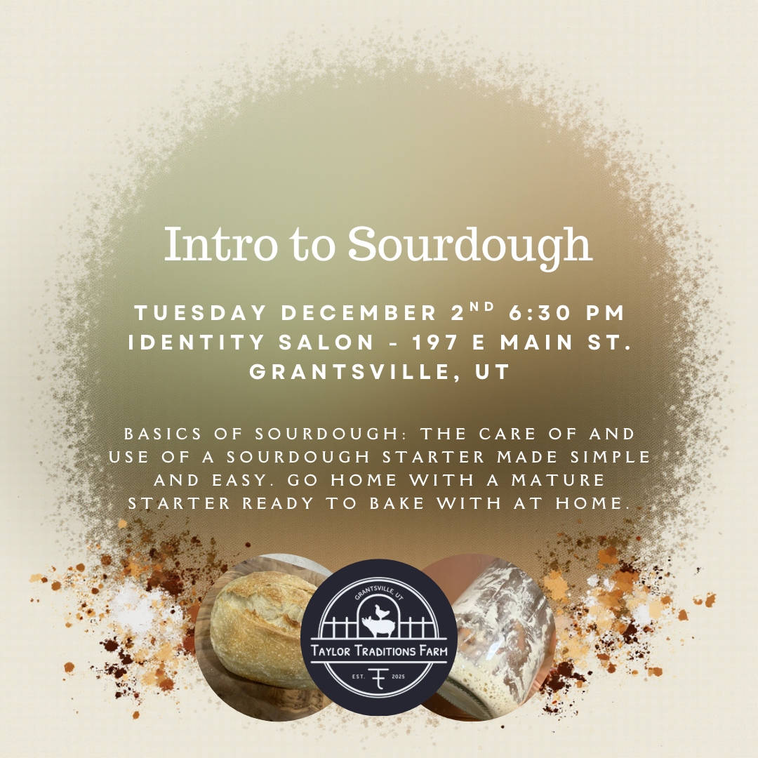 Intro to Sourdough
