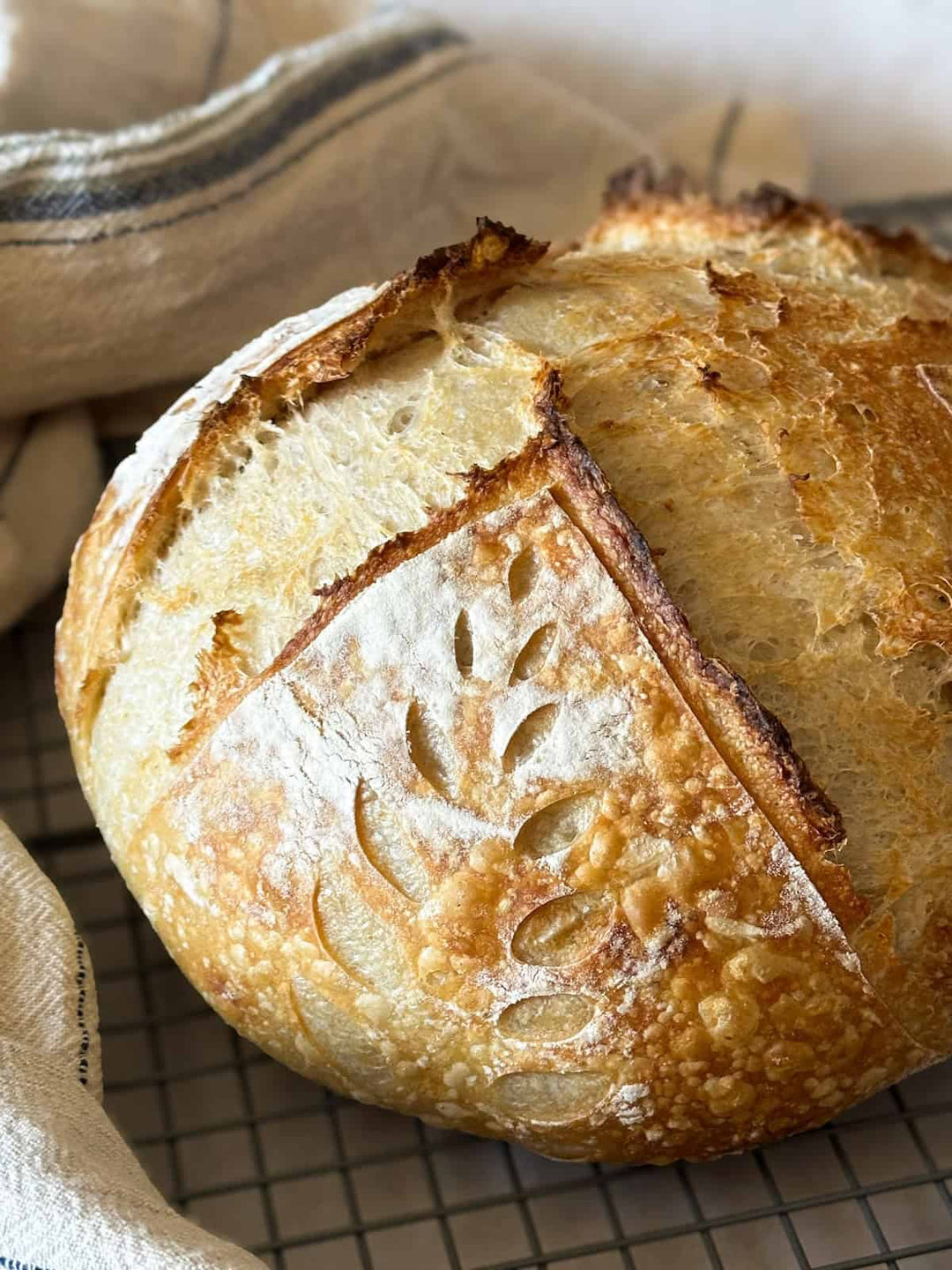 Freeze- Dried Goodness in Sourdough