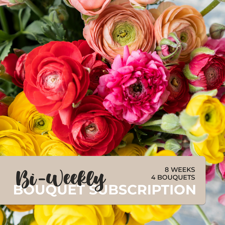 Bi-Weekly Bouquet Subscription