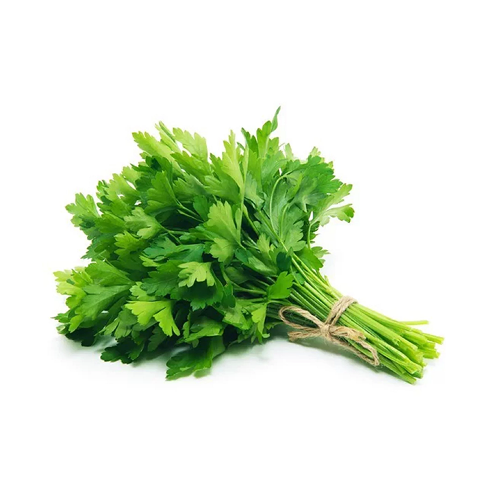 Cilantro