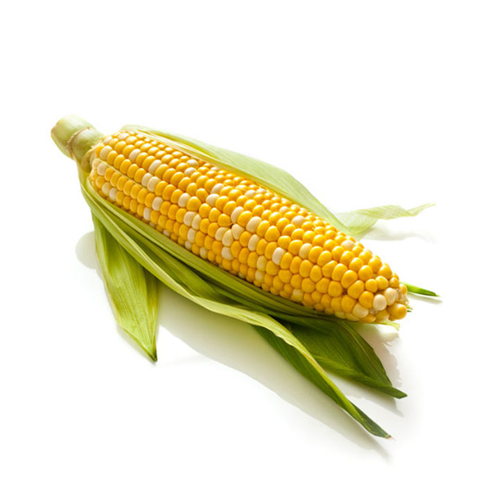 Corn On the Cob